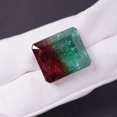 Bi-Color Tourmaline (32.66 Cts)